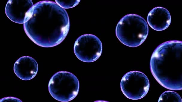 Veel Zeepbellen Zwarte Achtergrond Realistische Bellen Zweven Langzaam Transparante Bellen — Stockvideo