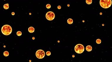 Birçok soyut ateş topu siyah arka planda uçuyor. Ateş küresi yavaşça yüzer. Döngü canlandırması.