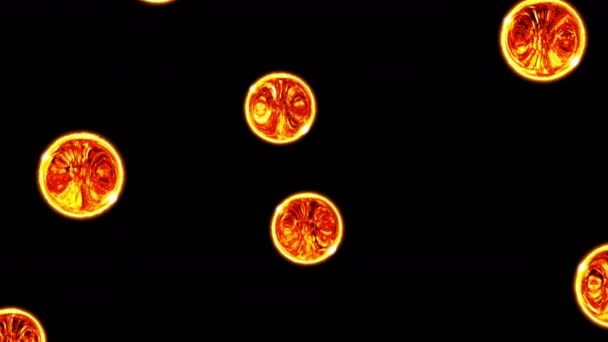 Багато Абстрактних Вогняних Кульок Летять Чорному Тлі Пожежна Сфера Повільно — стокове відео