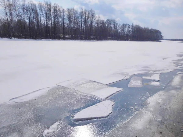 Voronezh Nehri 'nde bahar sel baskını