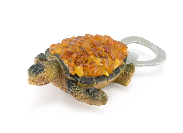 Turtle opener made of amber — Stock Photo, Image