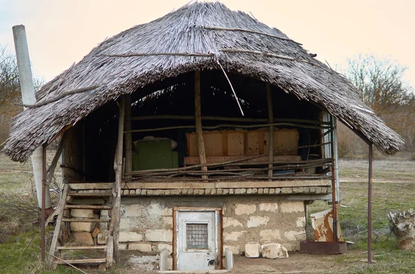 茅葺屋根のリードとストローで作られた原始的な小屋 — ストック写真