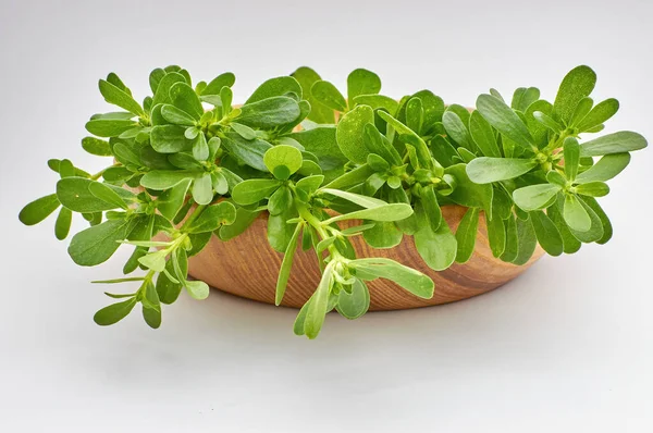 Ahşap masada taze purslane bitkisi. Beyaz üzerine izole edilmiş yabani Portekiz olerasisi.