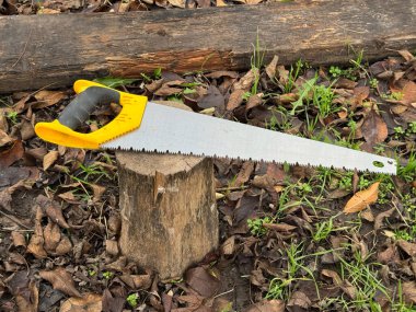 Sarı saplı bir el testeresi düşmüş yaprakların ve yeşil çimenlerin arasındaki tahta bir kütüğün üzerinde duruyor. Marangozluk, el işi ve açık hava işleri yapıyor. DIY projeleri için ideal