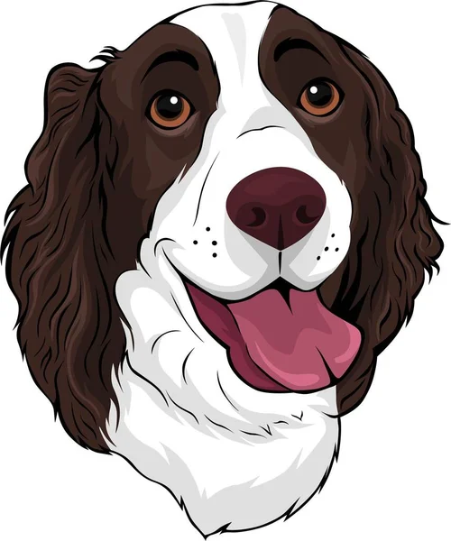 Logotipo de cachorro pastor inglês antigo vetor preto e branco vintage  cabeça de cachorro fofa gravada animal de estimação de raça realista
