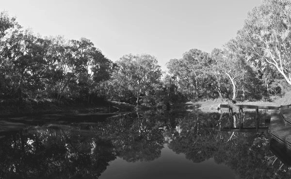 Australiska landsbygden — Stockfoto