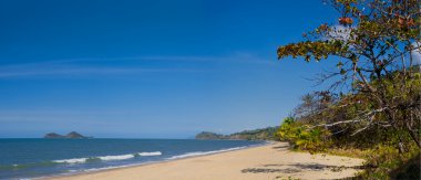Queensland Beach'te Ellis
