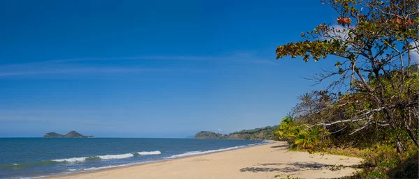 Ellis beach in Queensland — Stock Photo, Image