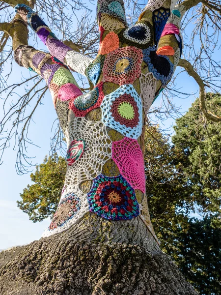 Yarn bombed tree — Stock Photo, Image