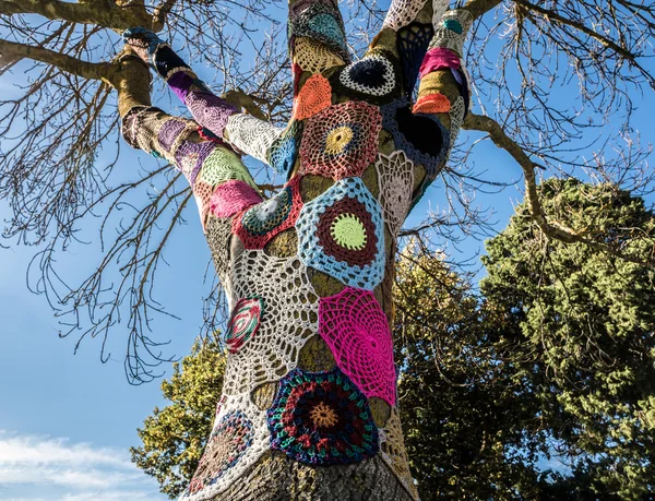 Yarn bombed tree Stock Image