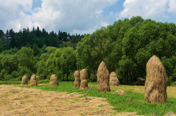 Special haystacks high in the Carpathian mountains in Ukraine in summer with a greenery and cloudy sky on the background.