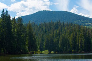 Yaz mevsiminde dağ gölü ve yeşilliğin muhteşem manzarası.