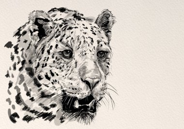 Mürekkep grafikleri. Leopar pusuda bekliyor. 