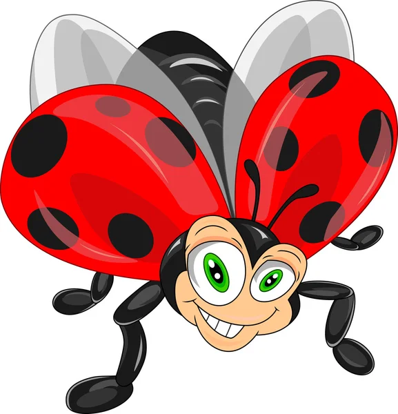 stock vector cute ladybug cartoon