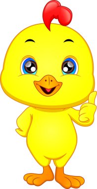 Sevimli piliçler çizgi film yıldızı.