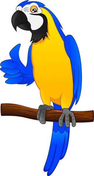 Parrot Bird Cartoon Thumbs — стоковый вектор