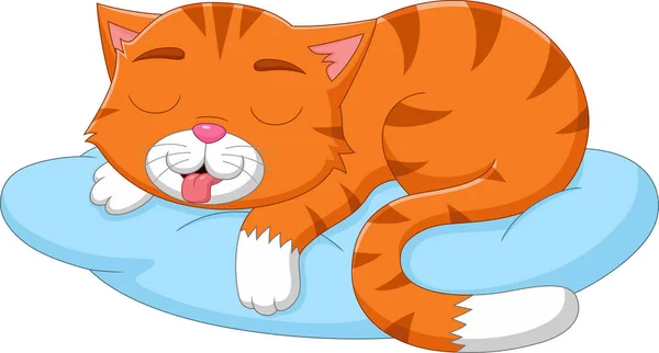 Мультяшний Милий Кіт Спить Подушці — стоковий вектор