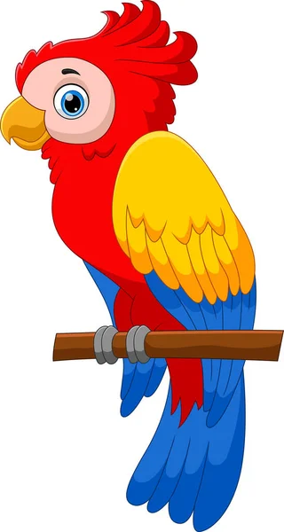 Cute Parrot Cartoon Pose — Stock Vector