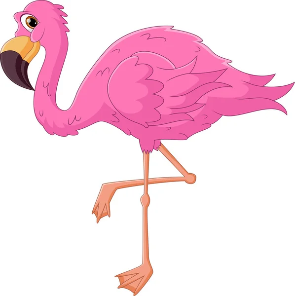 Mignon Flamant Rose Dessin Animé Sur Fond Blanc — Image vectorielle