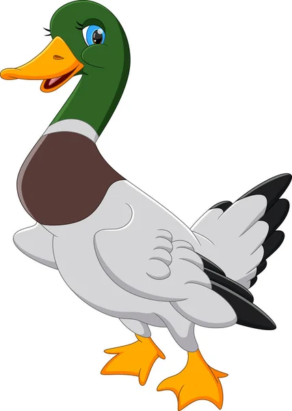 Niedliche Ente Karikatur Auf Weißem Hintergrund — Stockvektor