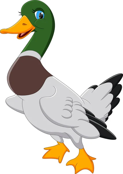 Lindo Pato Dibujos Animados Sobre Fondo Blanco — Vector de stock