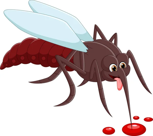 Cartoon Mosquito Drinking Blood White Background — Stock Vector