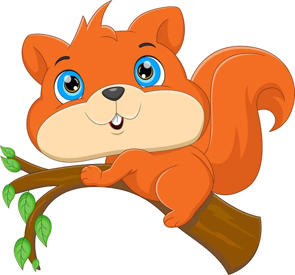 Γελοιογραφία Χαριτωμένο Σκίουρος Στο Δέντρο — Διανυσματικό Αρχείο