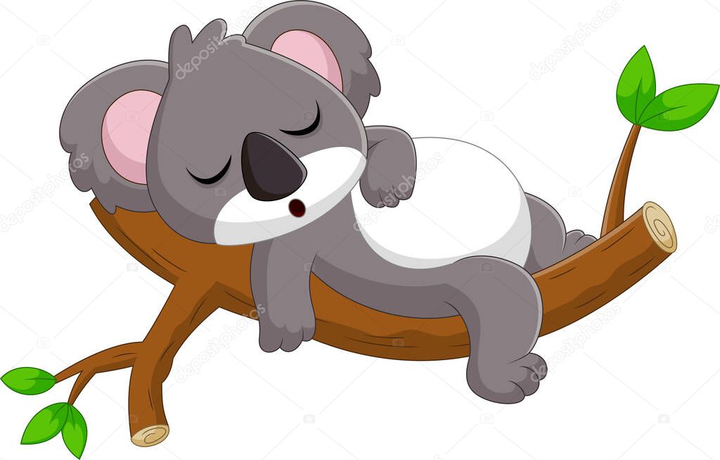 cartoon Cute koala is sleeping on a tree