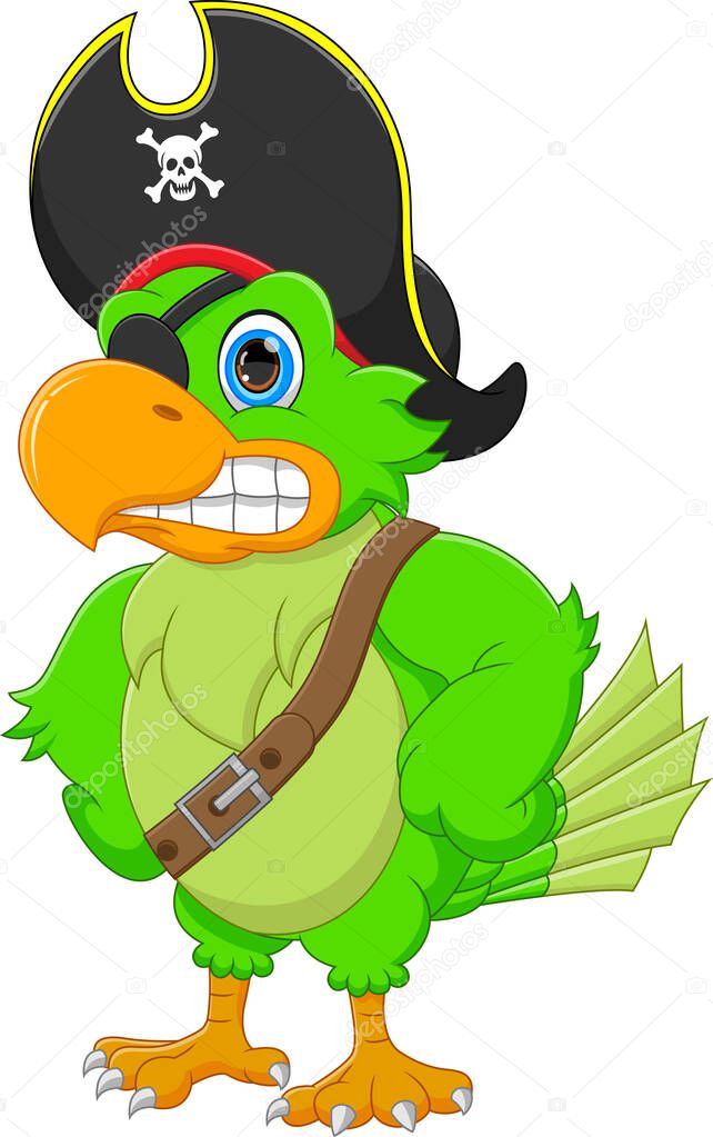 angry pirate parrot cartoon isolated on white background