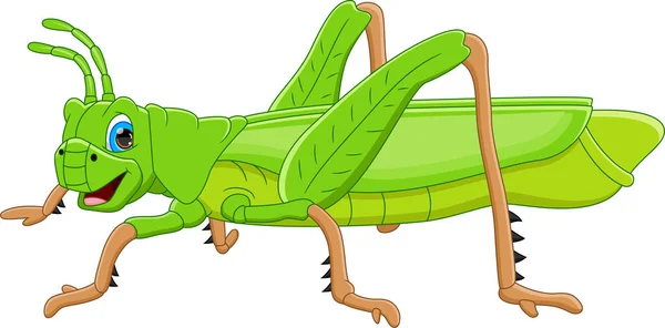 Een Illustratie Van Een Stripfiguur Sprinkhaan Insect Bugストックベクター ロイヤリティフリーeen Illustratie Van Een Stripfiguur Sprinkhaan Insect Bugイラスト ページ 3 Depositphotos