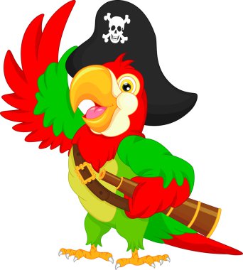 pirate parrot cartoon clipart