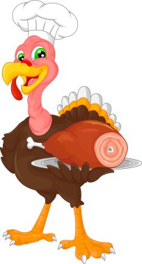 şirin Şef Türkiye kuş çizgi film