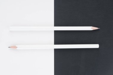 Siyah beyaz arka planda iki kalem