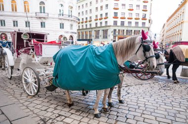 VIENNA, AUSTRIA - 20 Ekim 2015: Avusturya 'nın Hofburg kenti yakınlarındaki Michaelerplatz' da geleneksel eski moda yangınlar. 