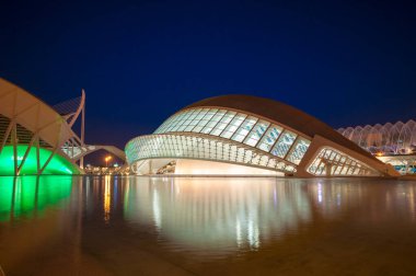 Valencia; İspanya - Haziran 24, 2019: Geceleri Sanat ve Bilim Şehri