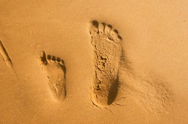Kumda ayak izleri 
