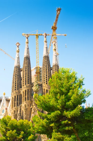 BARCELONA, SPAIN - JUNE 12, 2014: The Basilica of La Sagrada Fam — Stock Photo, Image