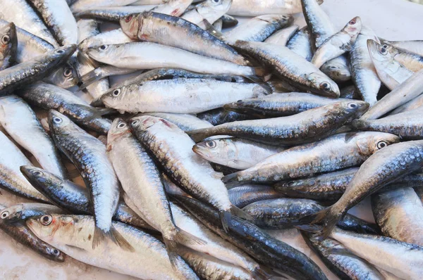 Freschezza sardine crude — Foto Stock