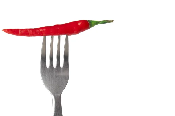 Red hot chili peper gespietst op staal vork — Stockfoto