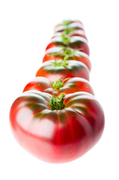 Rij van rijpe tomaten op witte achtergrond — Stockfoto