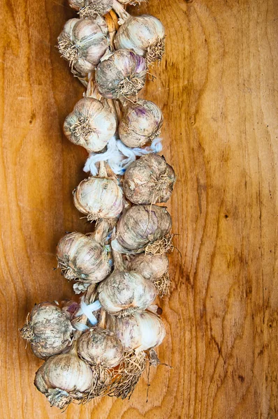 Bunch of garlic — Stock Photo, Image