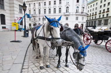 Vienna, Avusturya - 08 Ekim 2014: Geleneksel eski moda fi