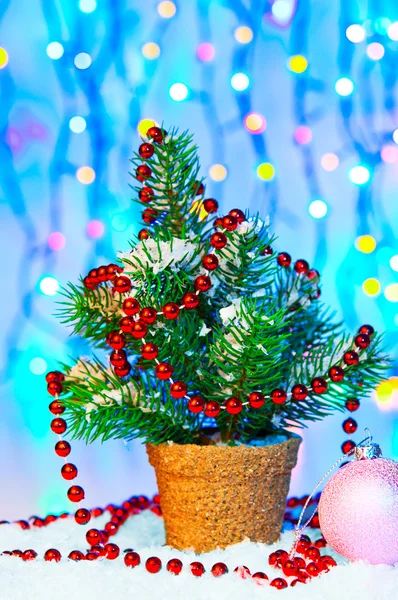 Noel kartı köknar ağacı — Stok fotoğraf