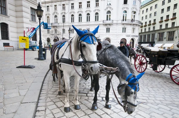 VIENNA, AUSTRIA - OCTOBER 08, 2014: Traditional old-fashioned fi — Stock Photo, Image