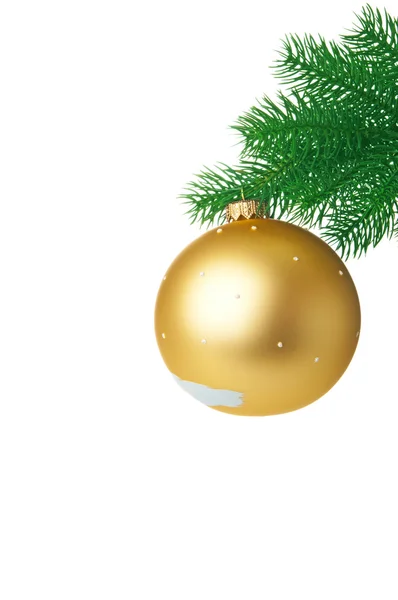 Rama de abeto con bola de Navidad —  Fotos de Stock