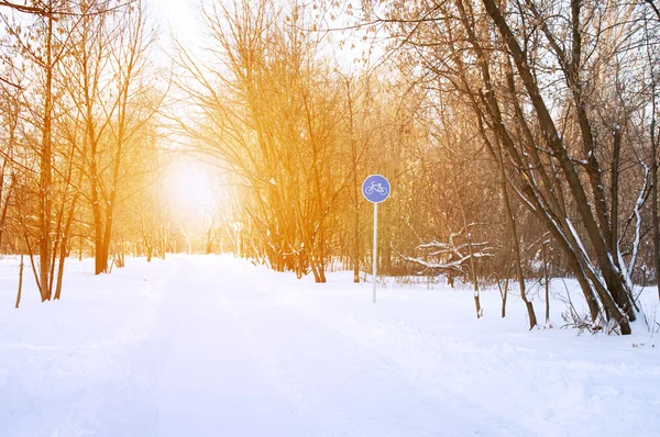 Chemin dans le parc d'hiver — Photo