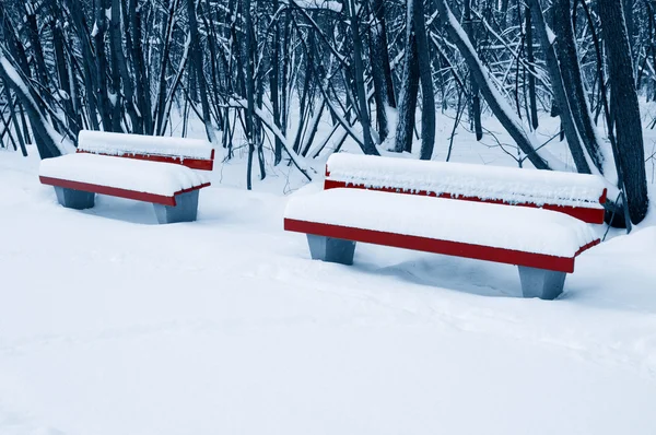 Bench a téli parkban — Stock Fotó