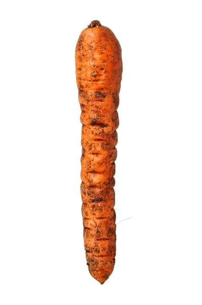 Schmutzige Karotten-Nahaufnahme — Stockfoto