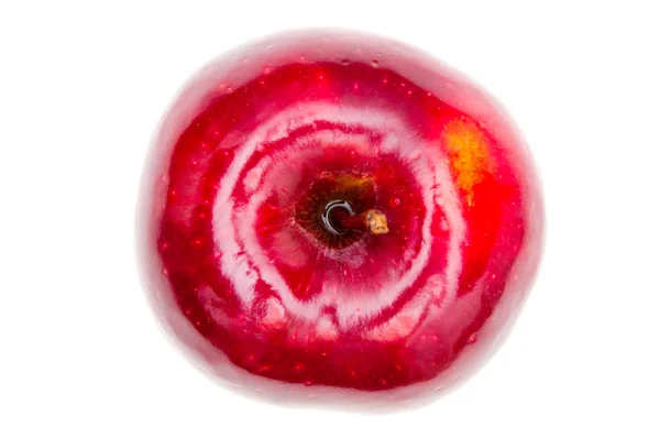 Ripe red apple closeup. Up view — Stock Photo, Image