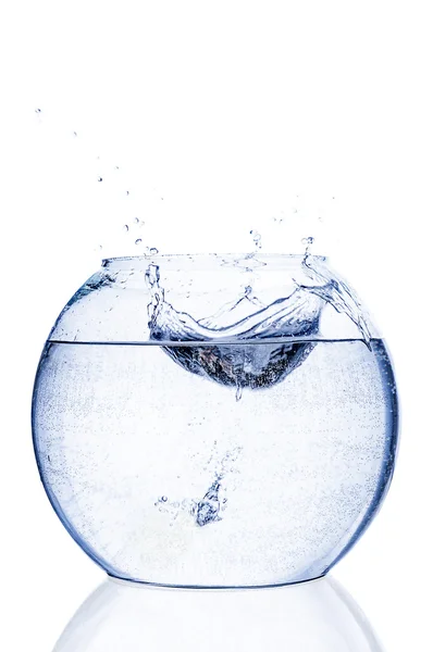Acqua spruzzata in acquario di vetro su fondo bianco — Foto Stock